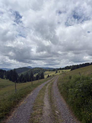 Todtnau - Hasenhorn - Gisiboden - Bernauer Kreuz