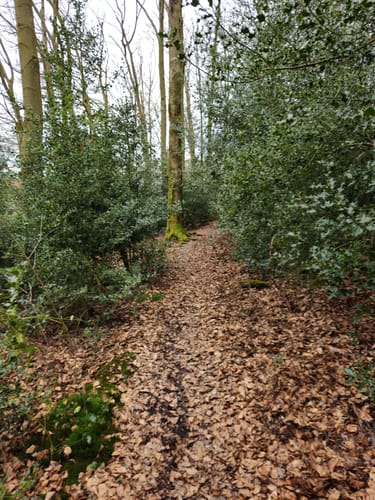 Durch das Felderbachtal