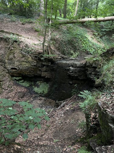 Patensteig
