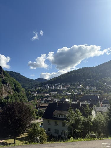 Runde bei Hornberg