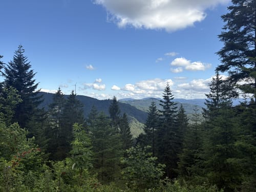 Runde bei Hornberg