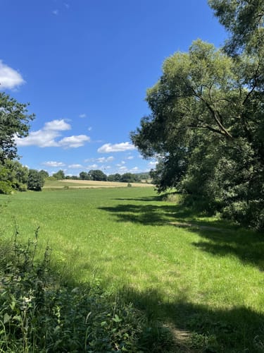 Hadamar: RWW Nr. 5 Wandern zwischen Natur und Kultur