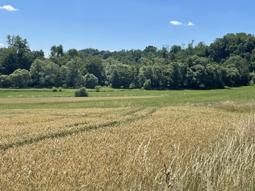 Hadamar: RWW Nr. 5 Wandern zwischen Natur und Kultur