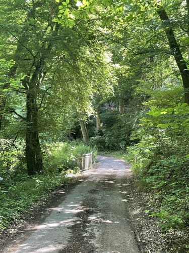 Hadamar: RWW Nr. 5 Wandern zwischen Natur und Kultur