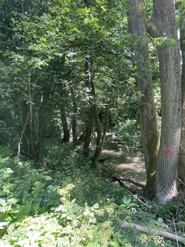 Hadamar: RWW Nr. 5 Wandern zwischen Natur und Kultur