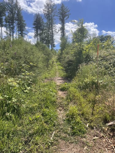 Ars-Natura-MTB-Marathon 2024 - 44 km
