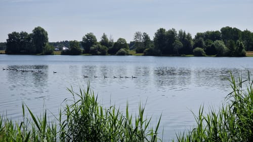 Um den Vörder See