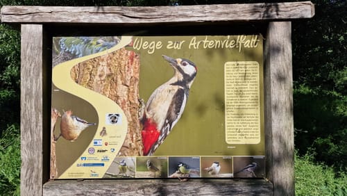 Um den Vörder See