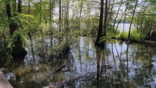 Um den Vörder See