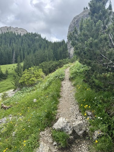 Kenzenhütte - Hasentalkkopf
