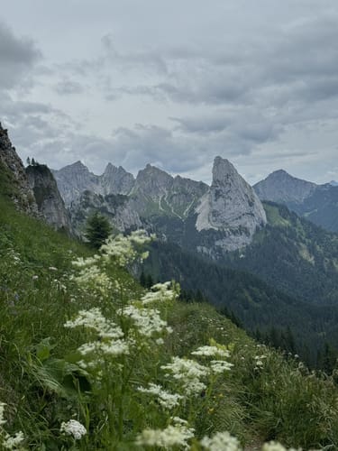 Kenzenhütte - Hasentalkkopf