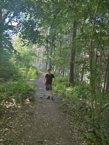 Steinbachpfad (Premiumwanderweg)
