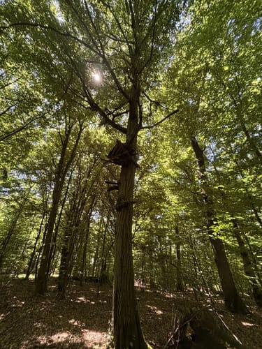 Steinbachpfad (Premiumwanderweg)