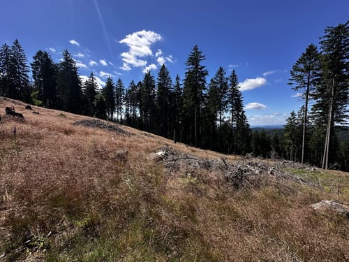 Limesweg, Großer Feldberg und Altkönig Rundweg