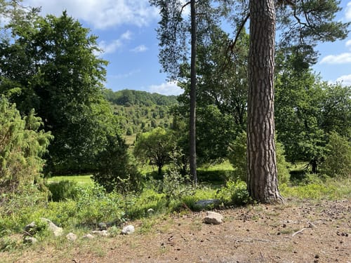 Rundwanderweg Oberhaverbeck O2
