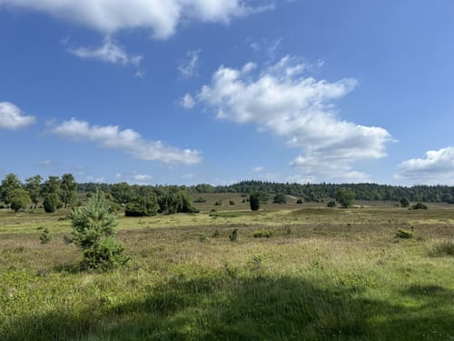 Rundwanderweg Oberhaverbeck O2