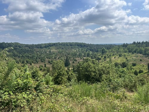 Rundwanderweg Oberhaverbeck O2