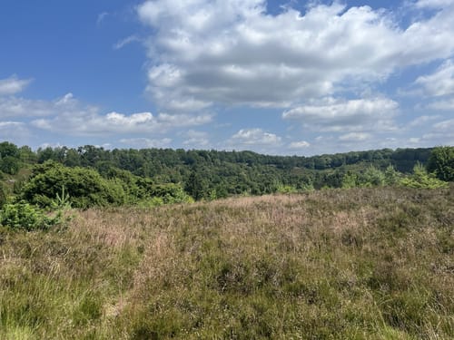 Rundwanderweg Oberhaverbeck O2