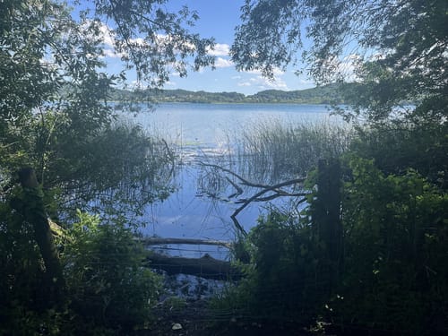 Laacher See Rundweg (Nickenich NI5)
