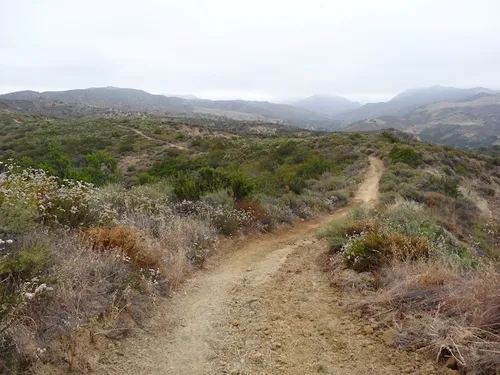 10 Best Hikes and Trails in Caspers Wilderness Park