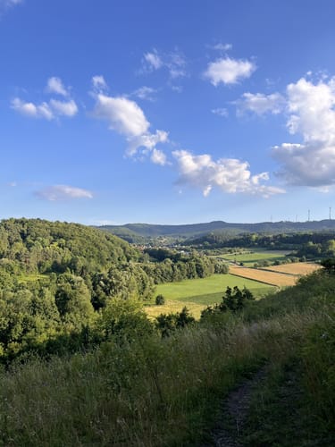 Wacholderpfad Roßbach P9 (Premiumwanderweg)