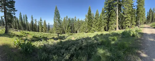 Foster Meadow Road, California - 18 Reviews, Map | AllTrails