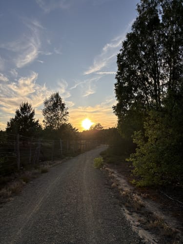Schönower Heide: Wildwanderweg