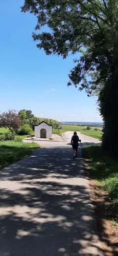 Naturpark Südeifel Wanderweg Nr. 51 Kruchten-Nusbaum