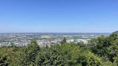 Burgensteig Bergstraße Etappe 6: Weinheim – Hirschberg-Großsachsen