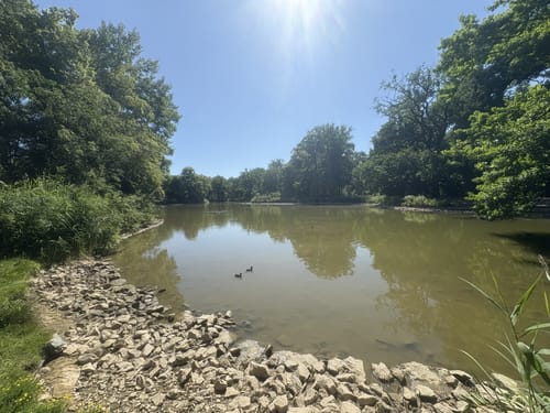 Rund um den Großen Garten in Dresden