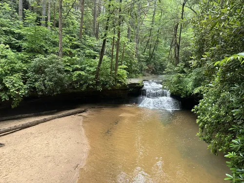 10 Best forest trails in Daniel Boone National Forest | AllTrails