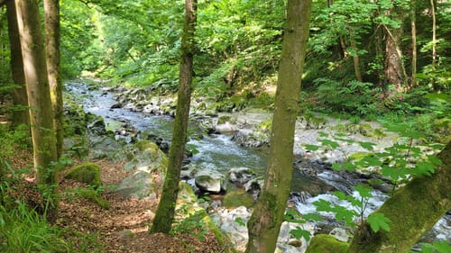 Panoramaweg Schwarzatal Etappe 2: Schwarzburg - Cursdorf