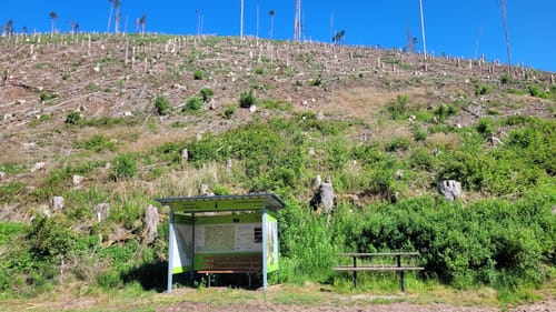Panoramaweg Schwarzatal Etappe 3: Cursdorf - Scheibe