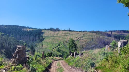 Panoramaweg Schwarzatal Etappe 3: Cursdorf - Scheibe