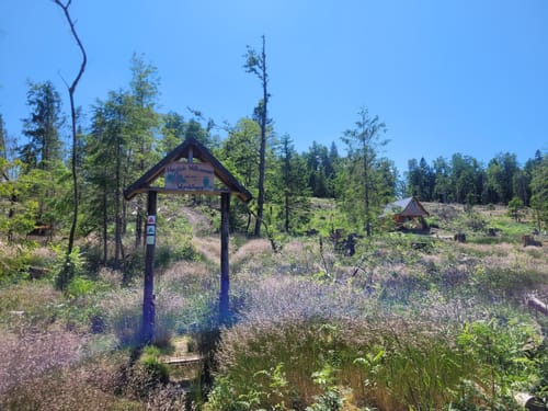 Panoramaweg Schwarzatal Etappe 3: Cursdorf - Scheibe