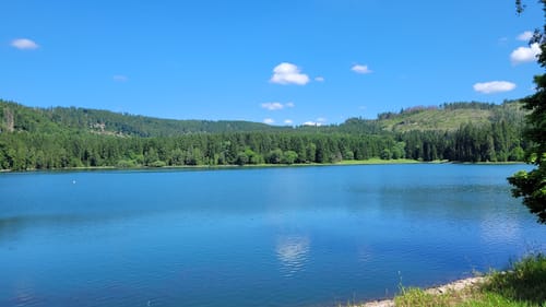 Panoramaweg Schwarzatal Etappe 3: Cursdorf - Scheibe
