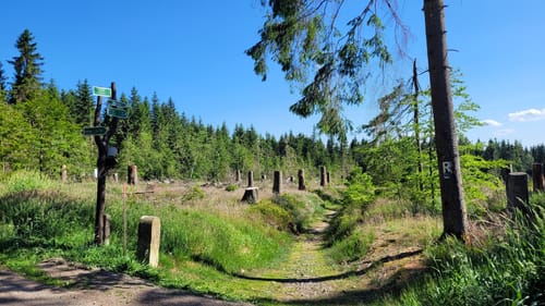 Panoramaweg Schwarzatal Etappe 3: Cursdorf - Scheibe