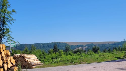 Panoramaweg Schwarzatal Etappe 4: Scheibe - Goldisthal