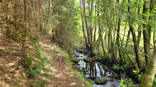 Masserberg - Barigau - Bröbischau