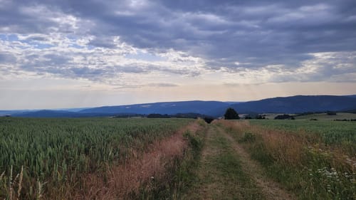 Panoramaweg Schwarzatal Etappe 8: Röderberg - Schwarza