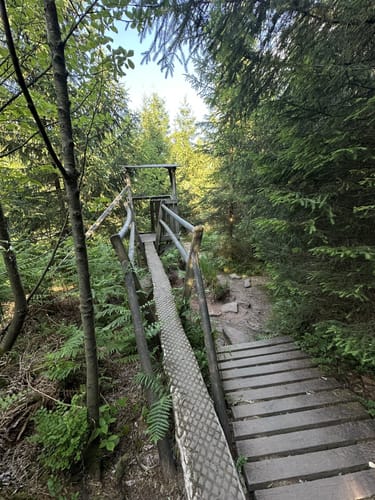 Lotharpfad