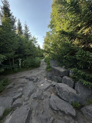 Lotharpfad