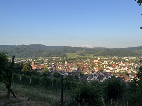 Gengenbach - Mattenhof