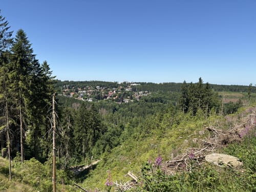 Liebesbankweg (Premiumwanderweg)