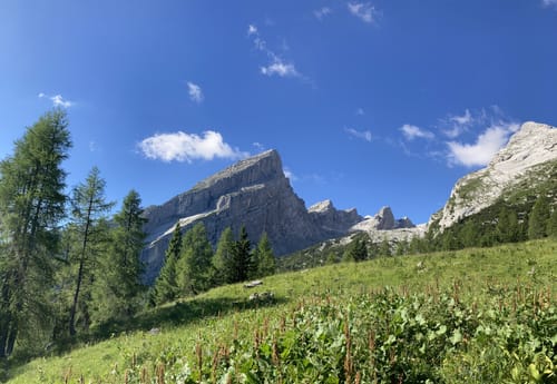 Zum Watzmannhaus: AV Weg 442