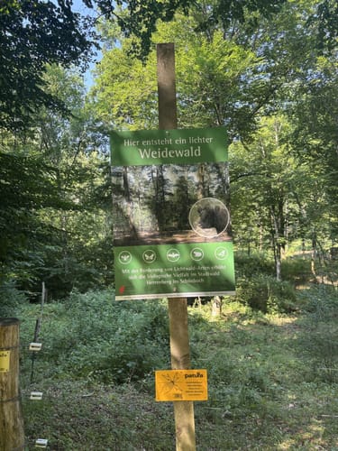 Herrenberg - Sommertalweiher
