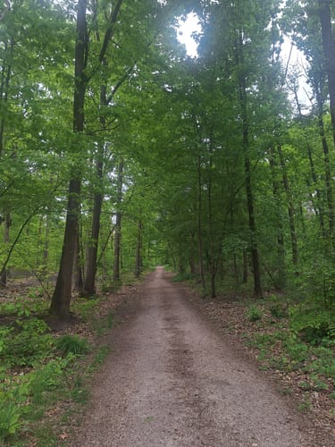 Dölauer Heide: Kleine Heidetour
