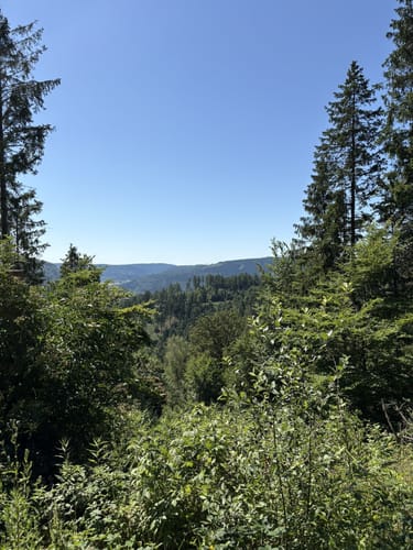 Innerstetalsperre - Brockenblick