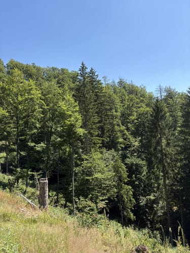 Innerstetalsperre - Brockenblick