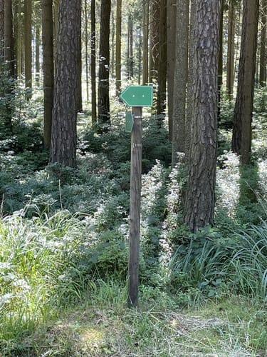 Kößlarn Tour 11 - Natur pur